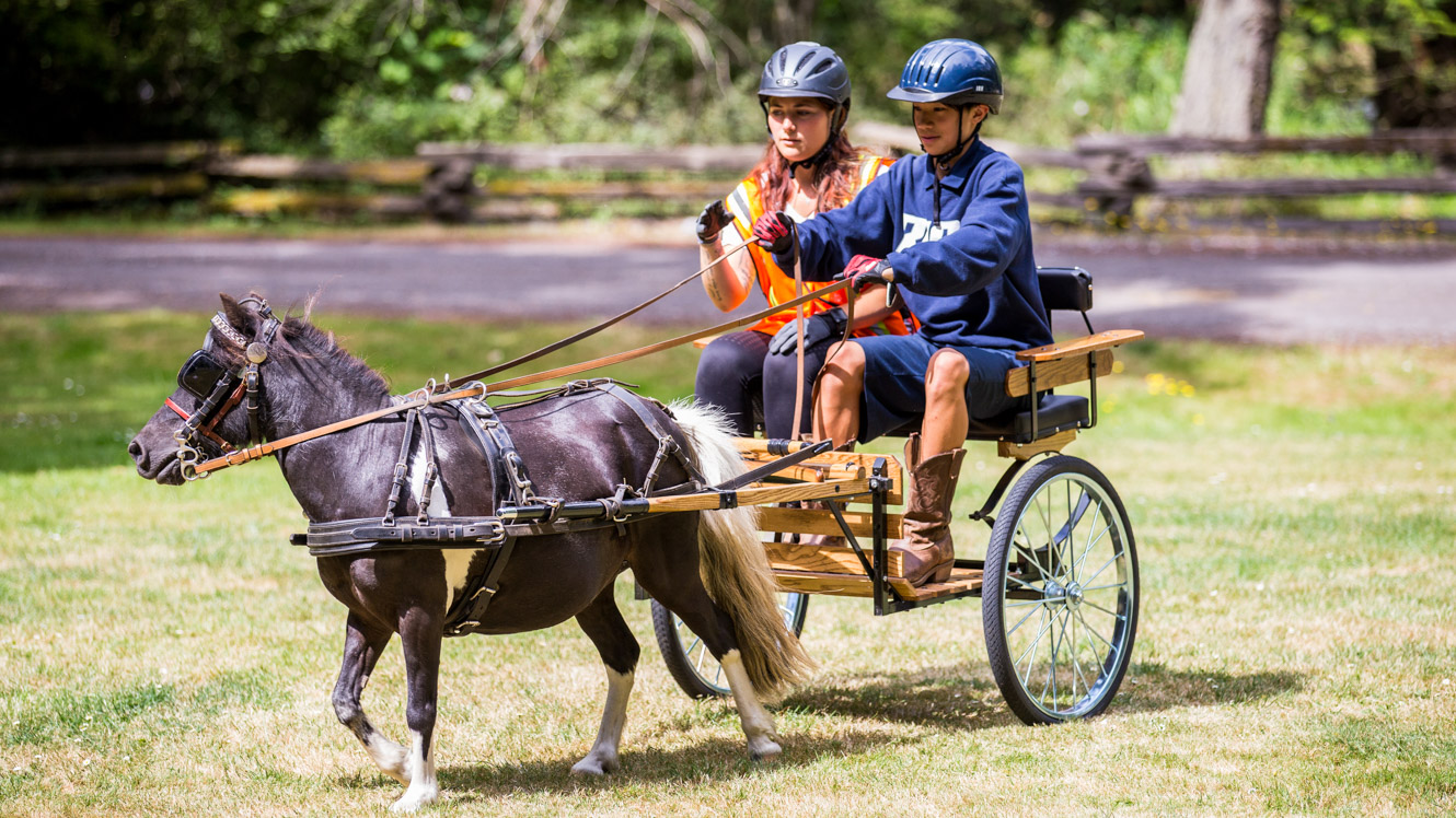 Camper drives pony cart