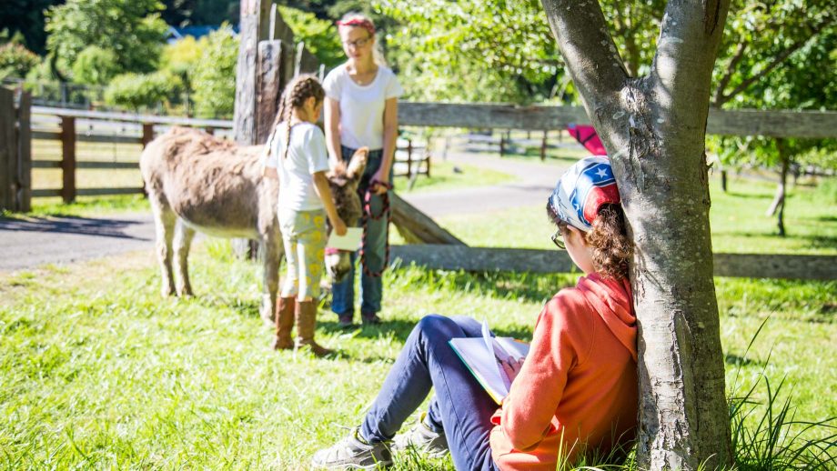 Camper writes under tree near horses