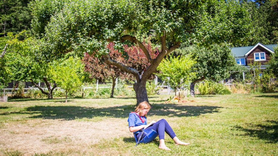 Camper sits near garden tree to read